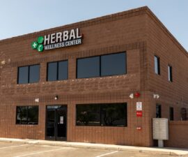 Herbal Wellness Center And Tips